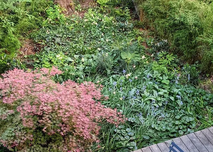 Romantic And Atypical In Prague's Montmartre Daire Prag